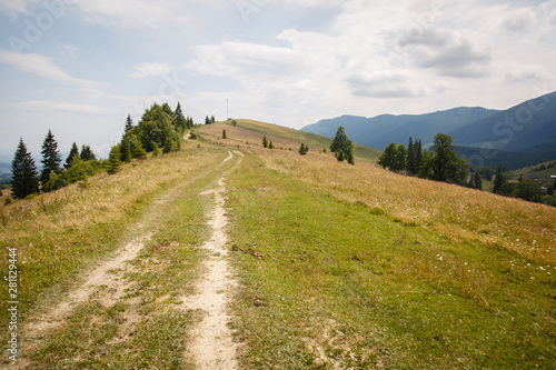 Carpathian landscape. Dirt road in the mountains. Hiking. Rural landscape in Carpatians  Ukraine. Young spruces coniferous forest and beautiful sky. Panorama of mountains from Mount Kostrycha  Ukraine