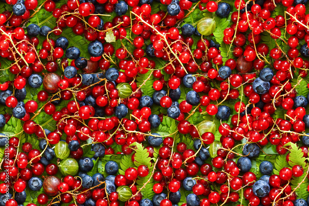 Seamless pattern of berries. Red currants, blueberries and gooseberries. View from above. Seamless pattern of berries. Red currants, blueberries and gooseberries. View from above.