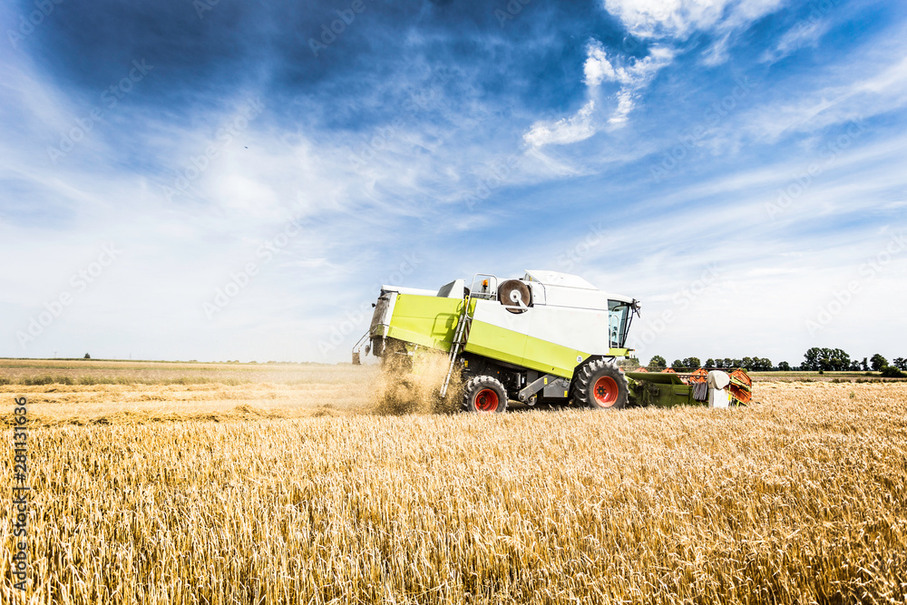 Obraz premium Harvester machine