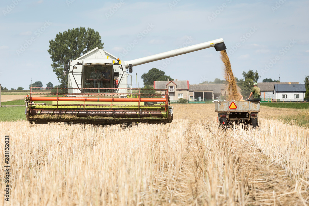Fototapeta premium grain unloading old Polish style