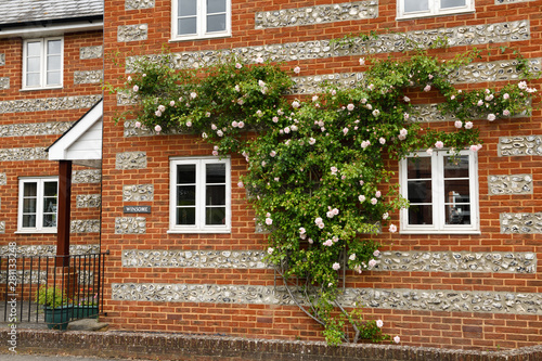 Red brick building embedded with split flint nodules and espaliered climbing rose in Salisbury England