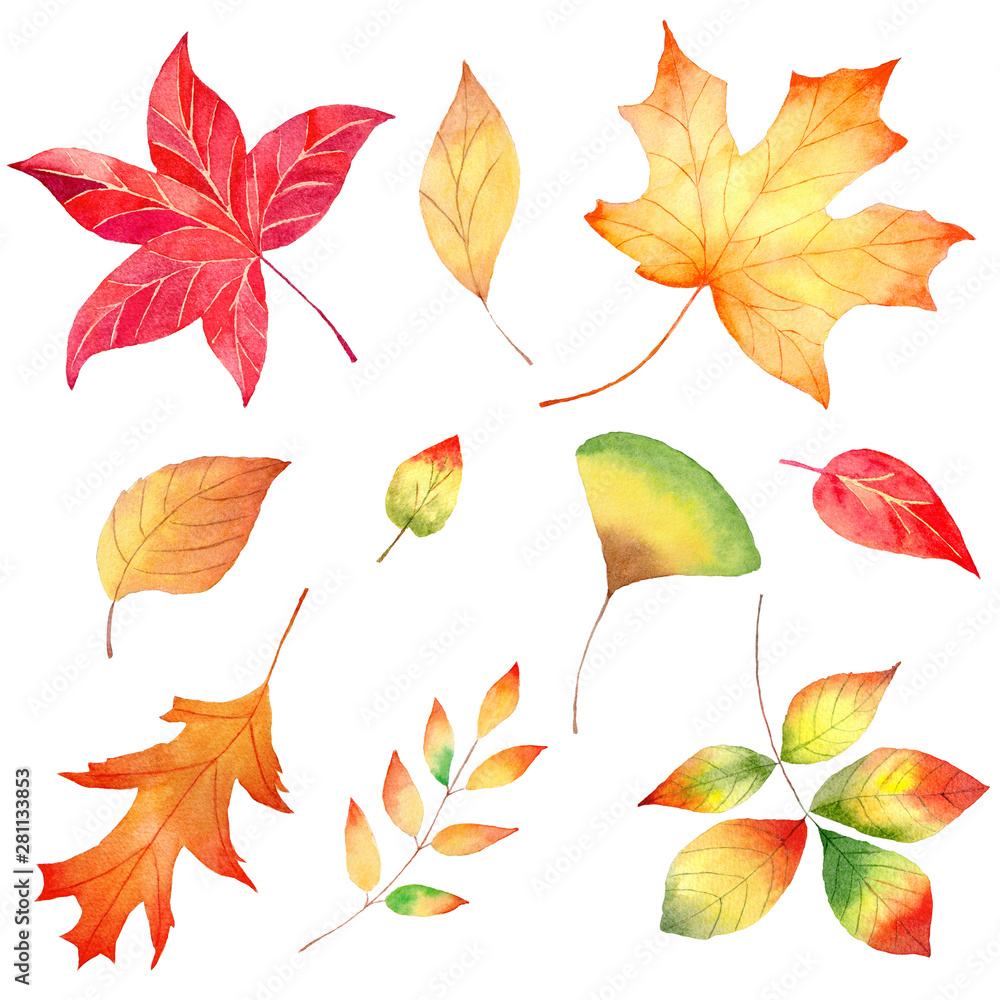 Fototapeta premium Autumn season forest foliage watercolor raster illustrations set