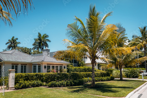 Typical american house with green grass and palm trees in a sun rays © Nikita