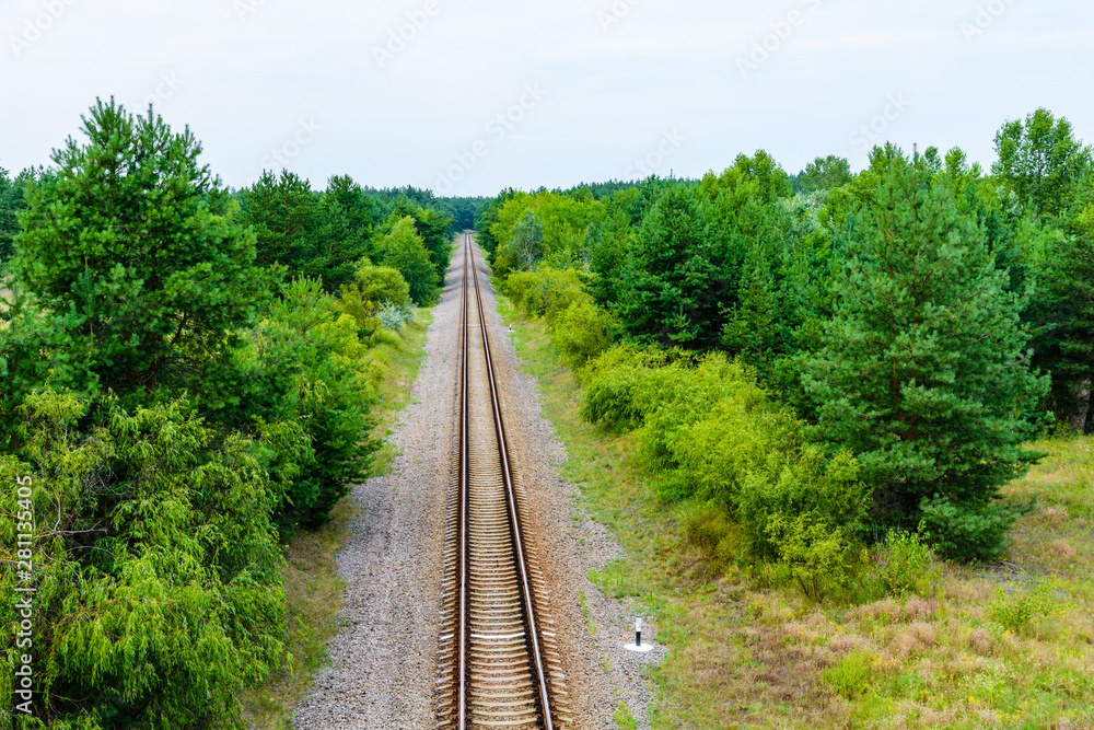 Old railroad in forest on summer