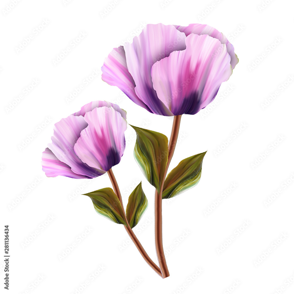 The visual enjoyment of flowers, the leaves and flowers art design The visual enjoyment of flowers, the leaves and flowers art design