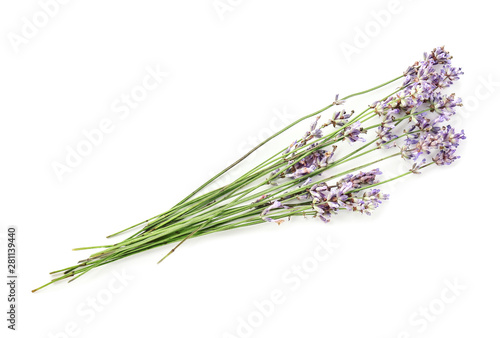 Beautiful lavender flowers on white background