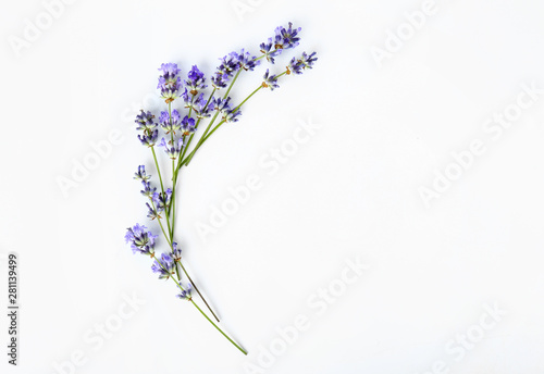 Canvas Print Beautiful lavender flowers on white background