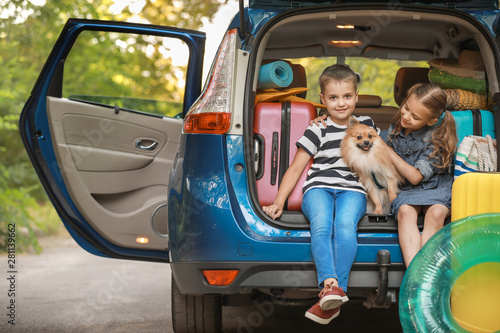 Children sitting in trunk o...