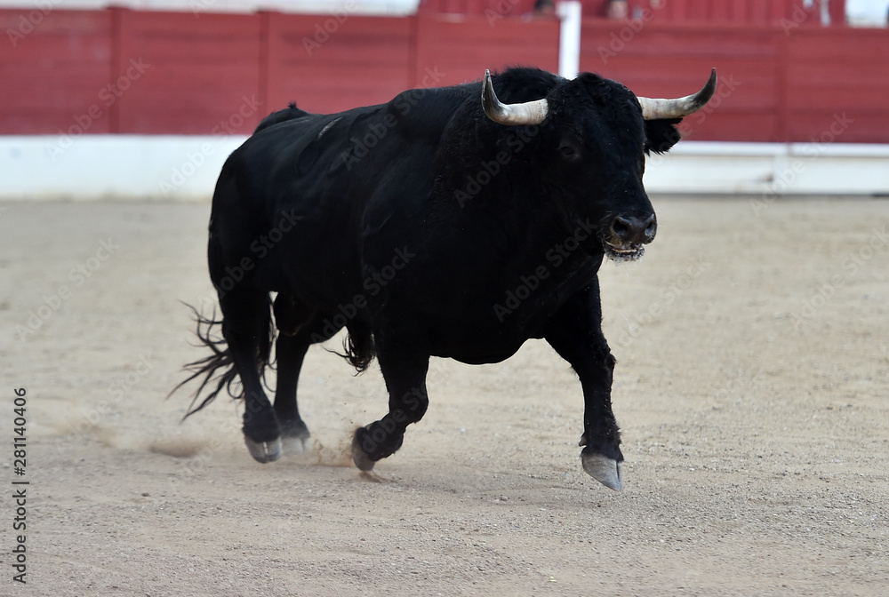 toreo en españa