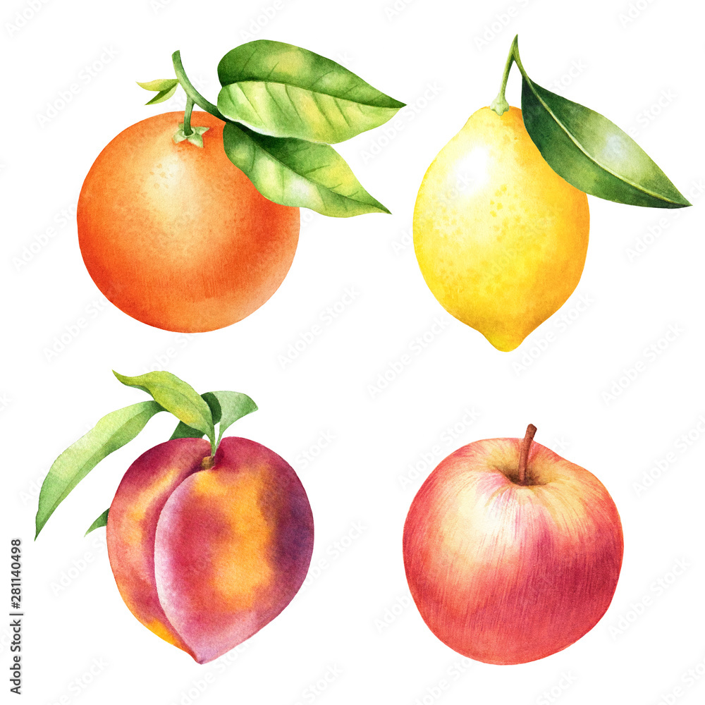 Set of hand drawn orange, lemon, peach and apple with leaves. Isolated ...