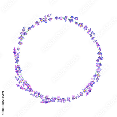 Lavender flowers purple wat...