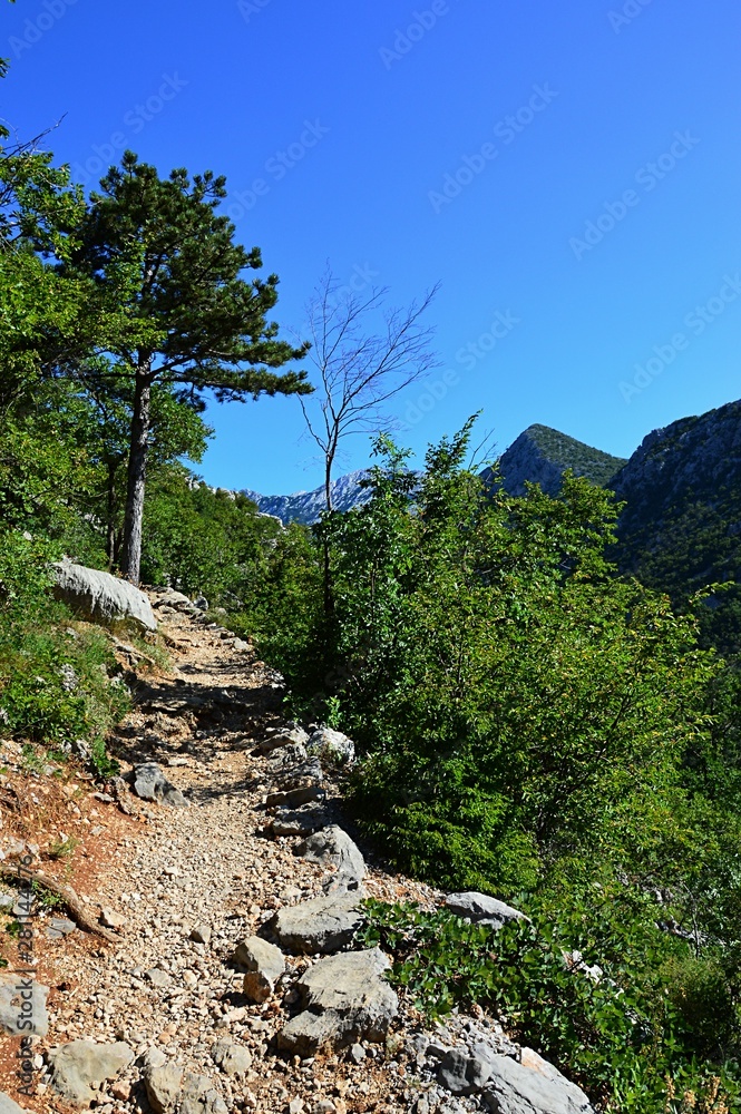 Narrow mountain path surrounded by shrubs and pine tree on left side. Location near Manita Pec cave, Paklenica National Park, Croatia. Photoraph taken during hot summer season, clear skies.