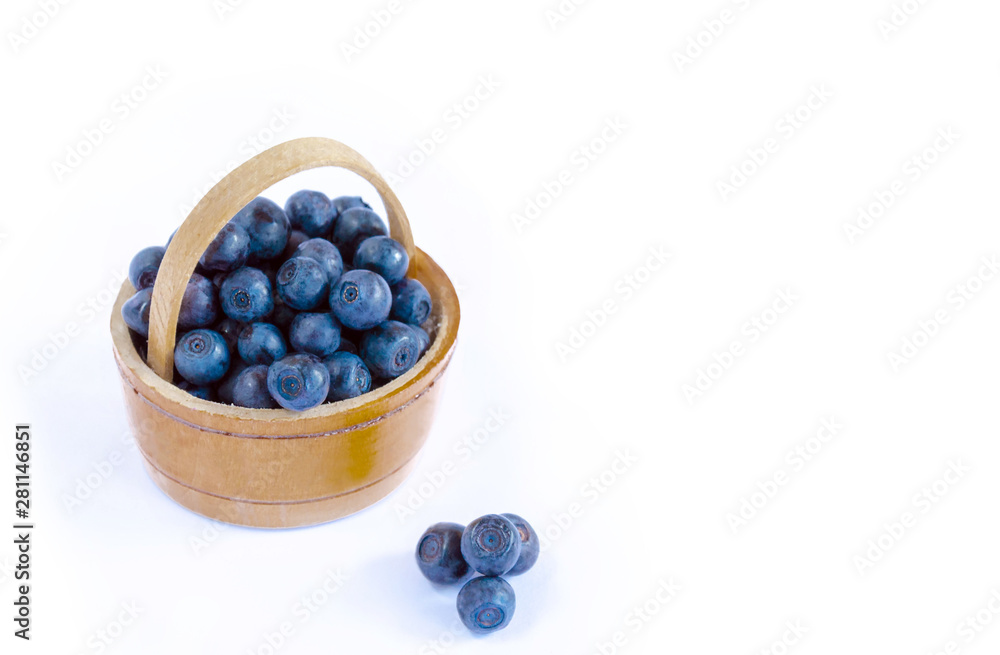 wild berries blueberries in woodware wild berries blueberries in woodware