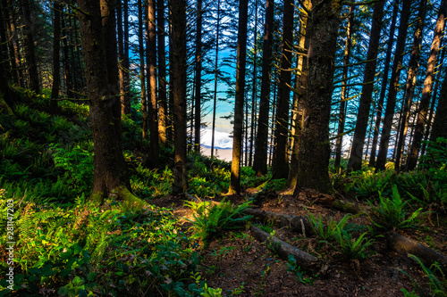 Fototapeta Naklejka Na Ścianę i Meble -  Beautiful Morning Along the Oregon Coast 