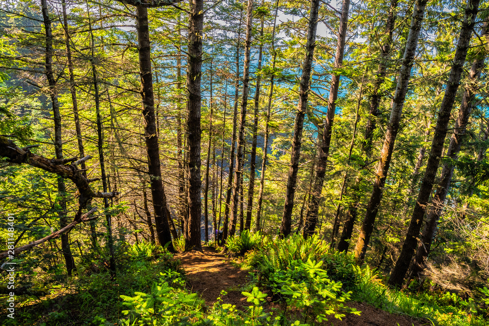 Naklejka premium Beautiful Morning Along the Oregon Coast