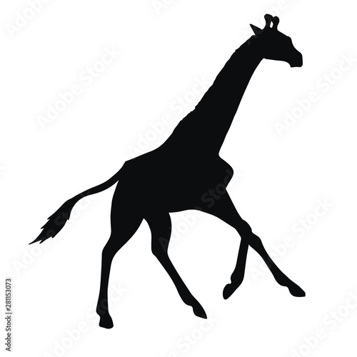 Vector black flat silhouette of galloping giraffe isolated on white background