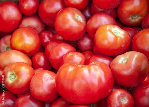 Delicious red tomatoes 