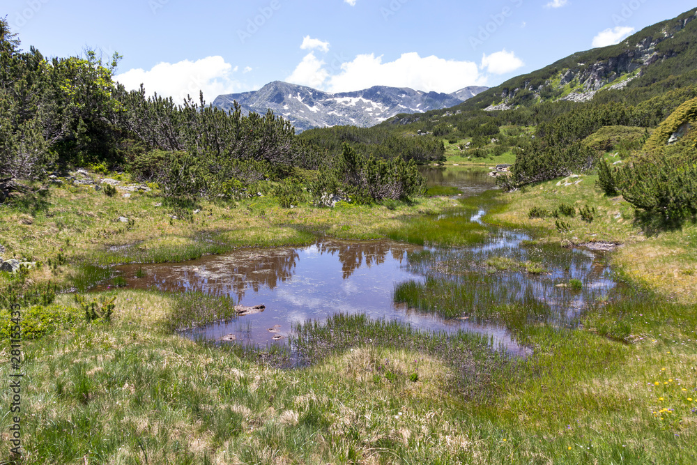 Small lakes near The Fish Lakes, Rila mountain, Bulgaria