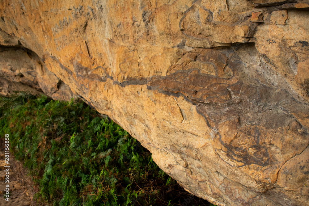 Obraz premium texture of stone
