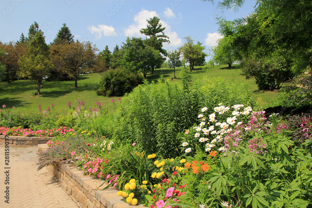 Summer garden landscape with blooming flowers