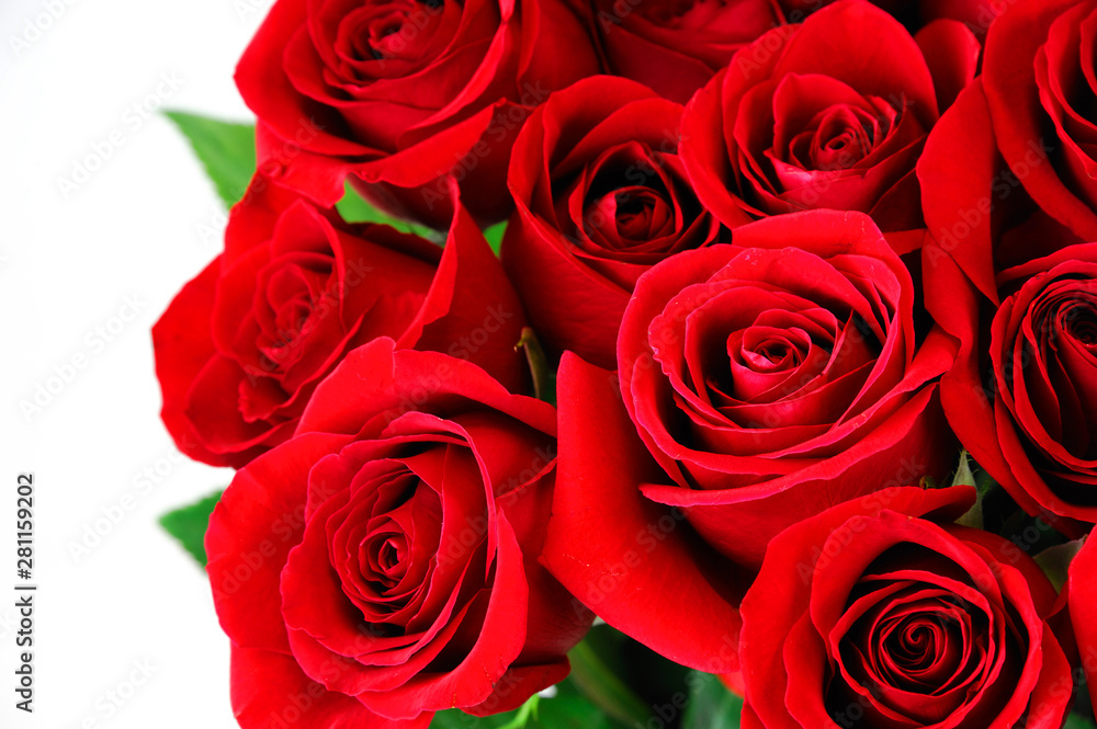 fresh red roses in a bouquet as background fresh red roses in a bouquet as background