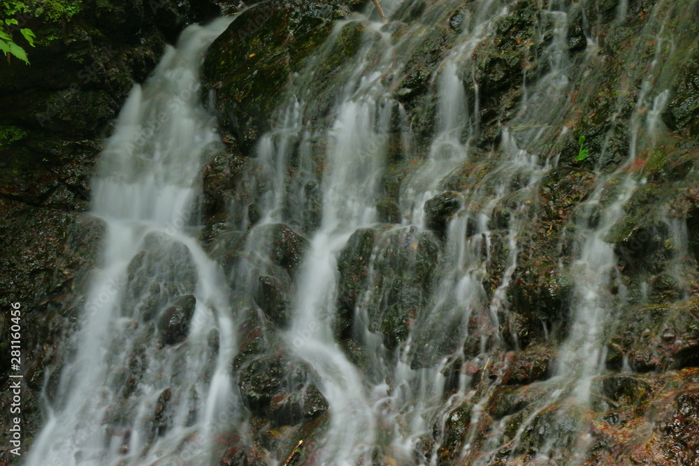 Fototapeta premium SONY DSC