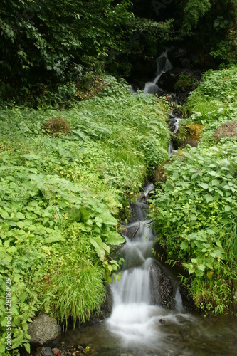 SONY DSC