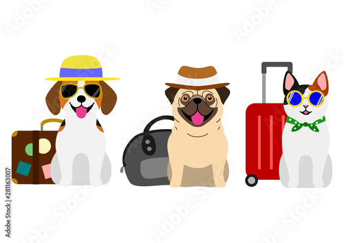 dogs and cat going to travel