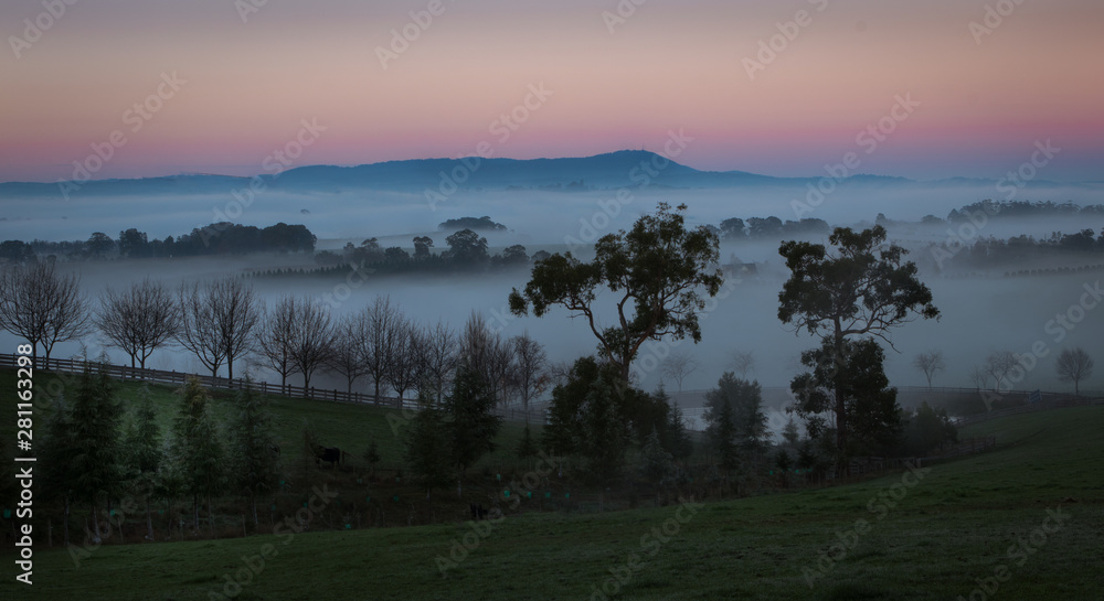 Fototapeta premium Yarra valley mist