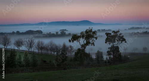 Yarra valley mist