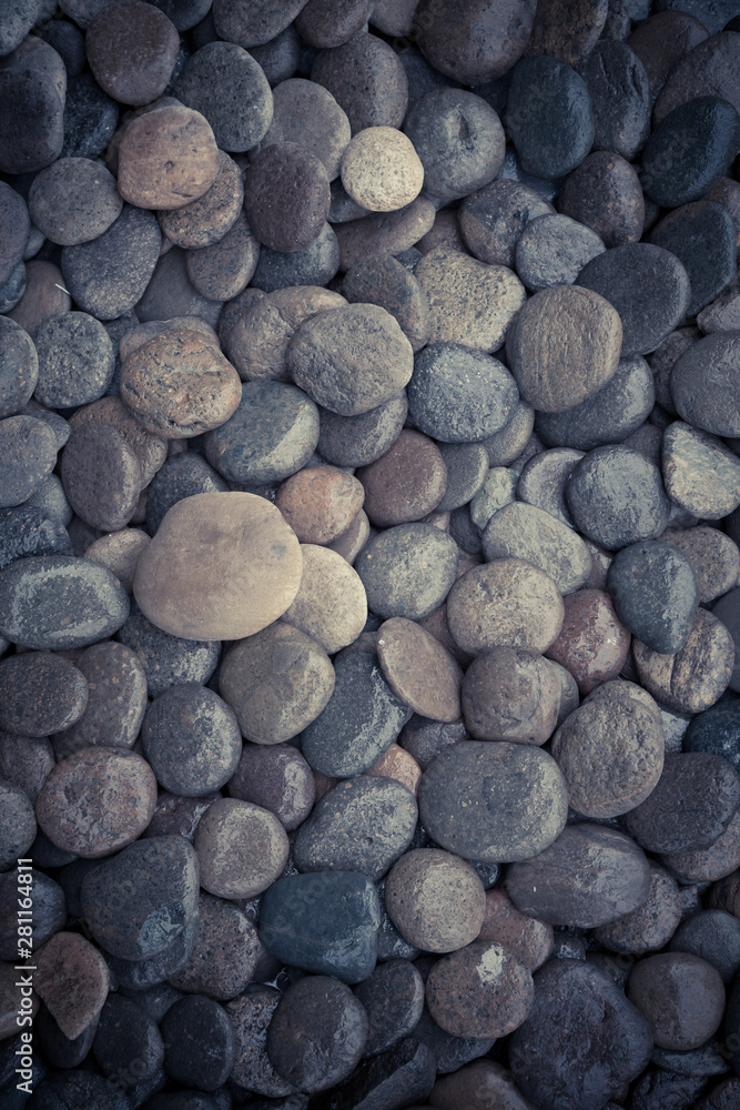 Wet rock river texture Wet rock river texture