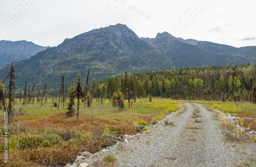 Dirt road