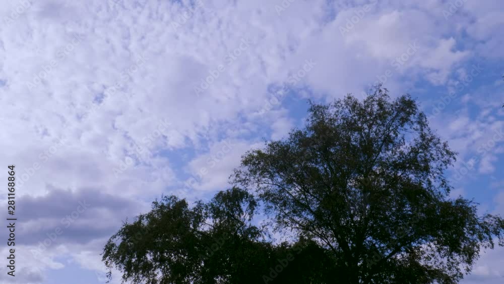 Sky with dappled clouds and foreground tree Sky with dappled clouds and foreground tree