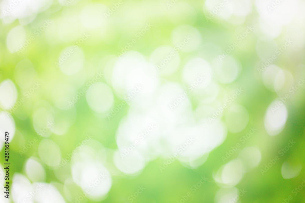Fototapeta premium Abstract nature background. Green bokeh nature. Green bokeh out of focus background from nature forest.