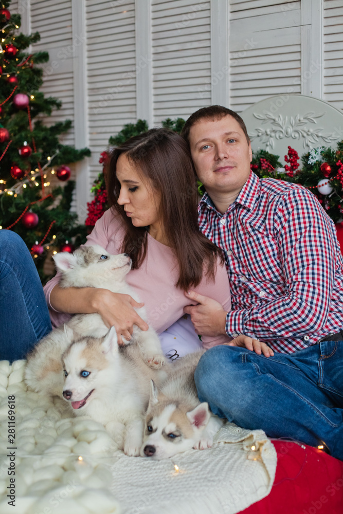 happy couple with husky puppies happy couple with husky puppies
