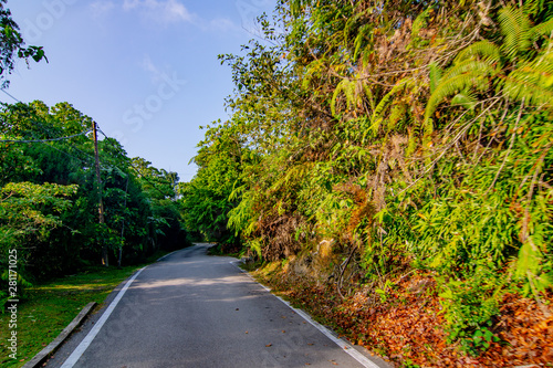 empty narrow road in the middle of tropical forest at Fraser Hill, Malaysia © HAFIZULLAH