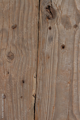 Wood Texture