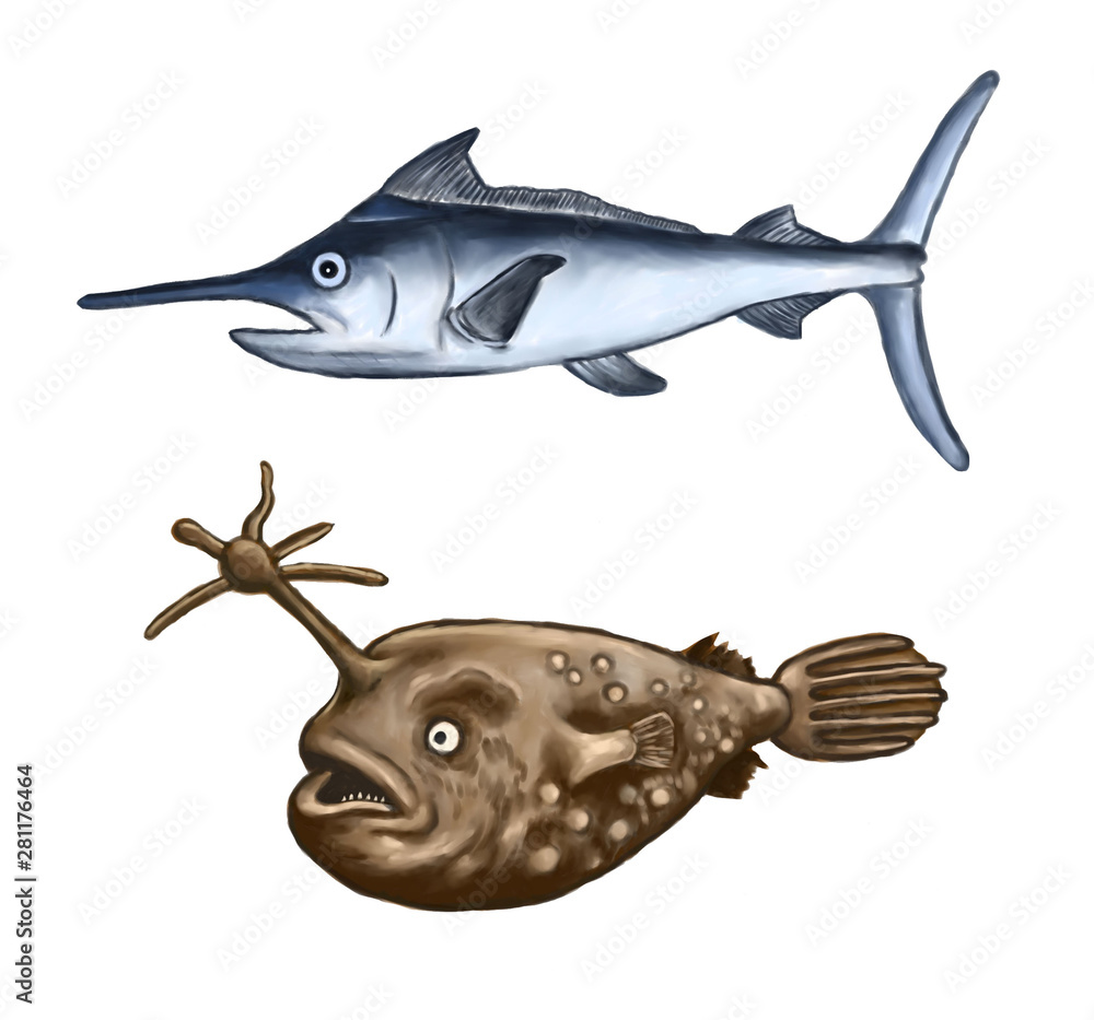 カジキマグロとチョウチンアンコウ Stock イラスト Adobe Stock