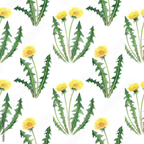 Watercolor digital paper dandelion pattern seamless illustration set of summer botanical decorations greeting card design