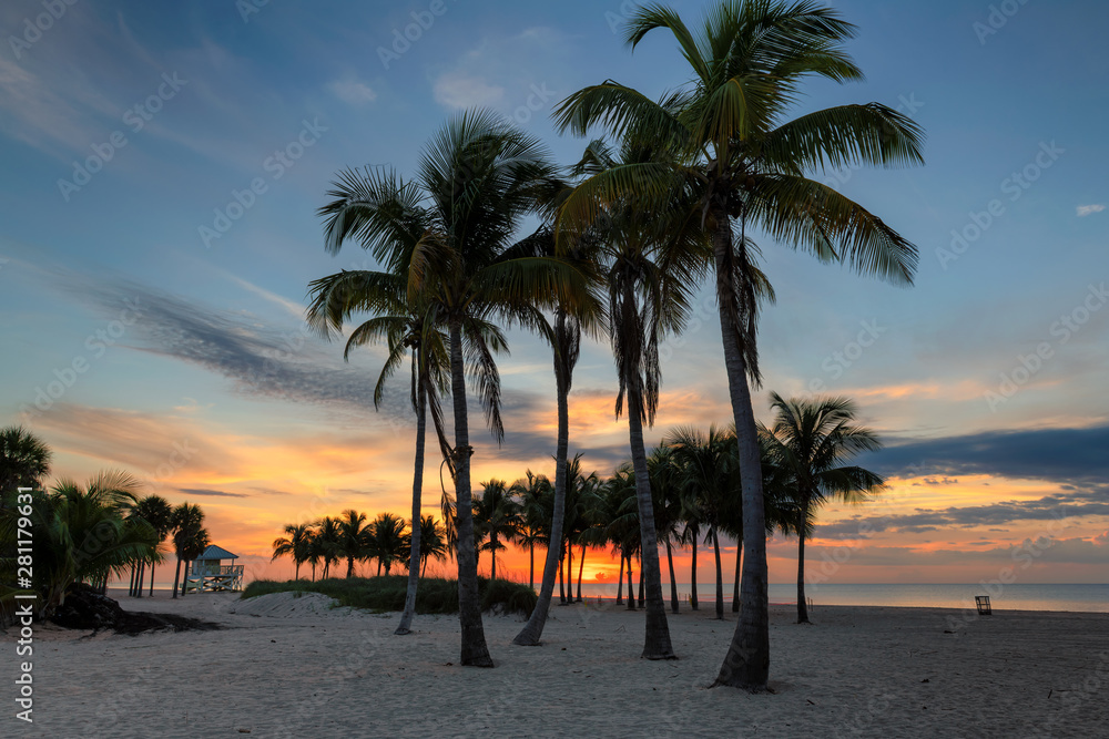 Fototapeta premium Ocean beach and palm trees at Sunrise in Key Biscayne, Florida
