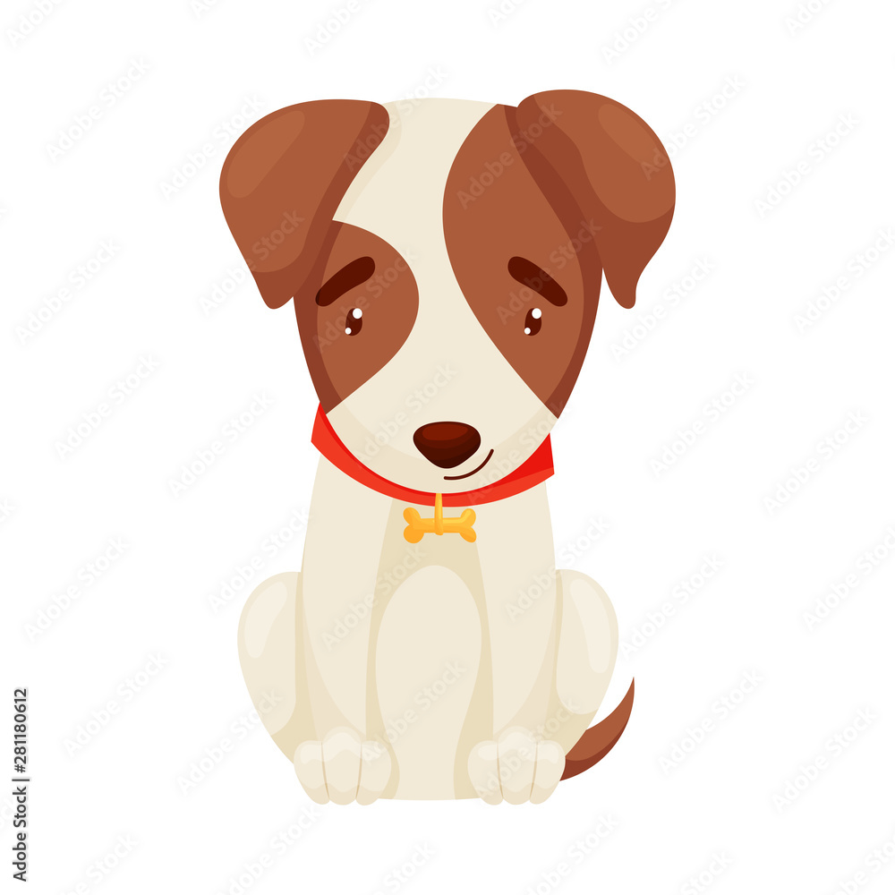 Cute puppy sitting. Vector illustration on white background. Cute puppy sitting. Vector illustration on white background.