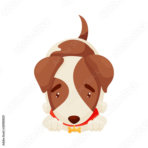 Cute puppy lies. Vector illustration on white background.