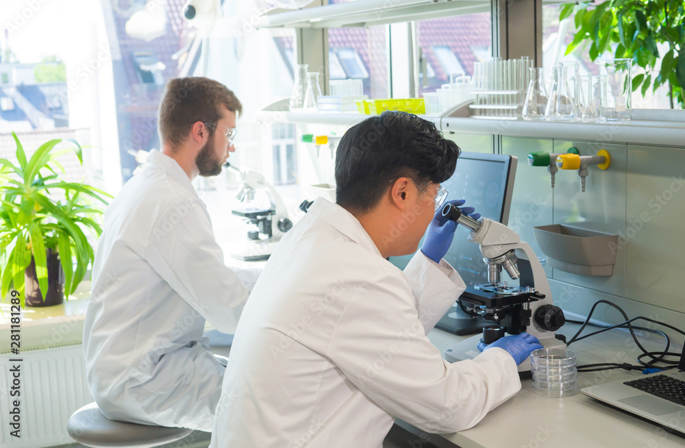 Obraz premium Scientist working in lab. Doctors making medical research. Biotechnology, chemistry, science, experiments and healthcare concept. Day light and window background.