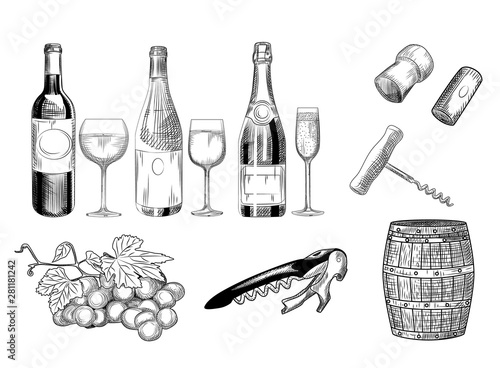 Set of wine. Hand drawn of wine glass, bottle, barrel, wine cork, corkscrew and grapes.