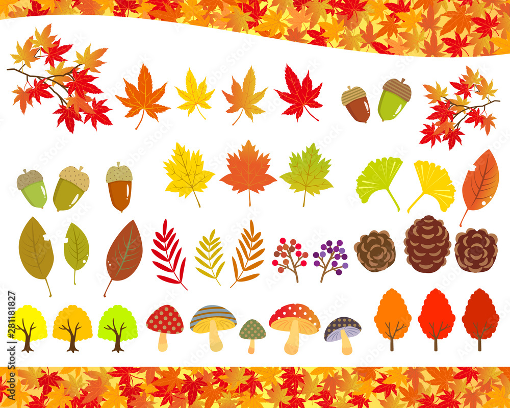 秋の植物 イラストセット Stock Vector Adobe Stock