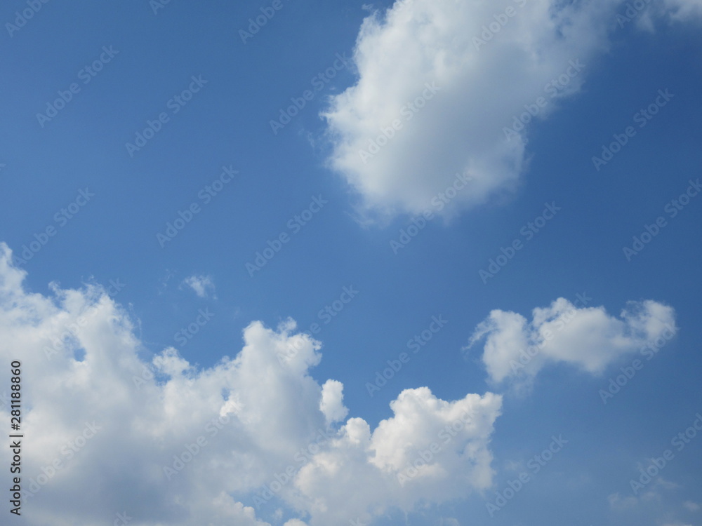 Fototapeta premium 夏の雲