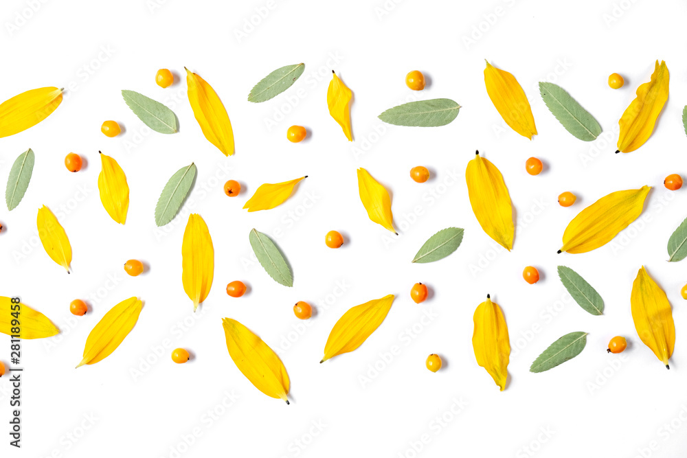 Autumn composition. Pattern made of leaves and rowan on white background. Autumn, fall, thanksgiving day concept. Flat lay, top view, copy space. Autumn composition. Pattern made of leaves and rowan on white background. Autumn, fall, thanksgiving day concept. Flat lay, top view, copy space.