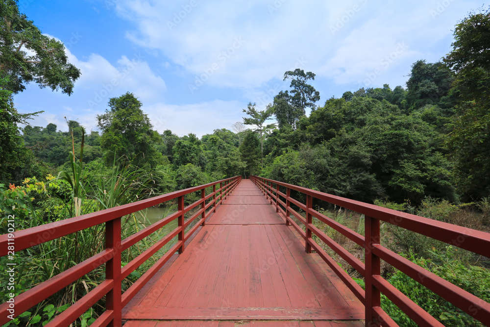 image of walkway with nature and mountain at National Park in Thailand