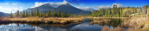 Canadian landscape, Jasper National Park, Alberta, Canada