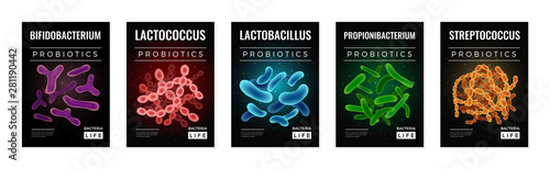 Probiotics And Health Banners Set photo